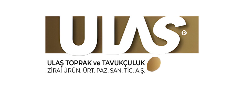 ulas-tavukculuk